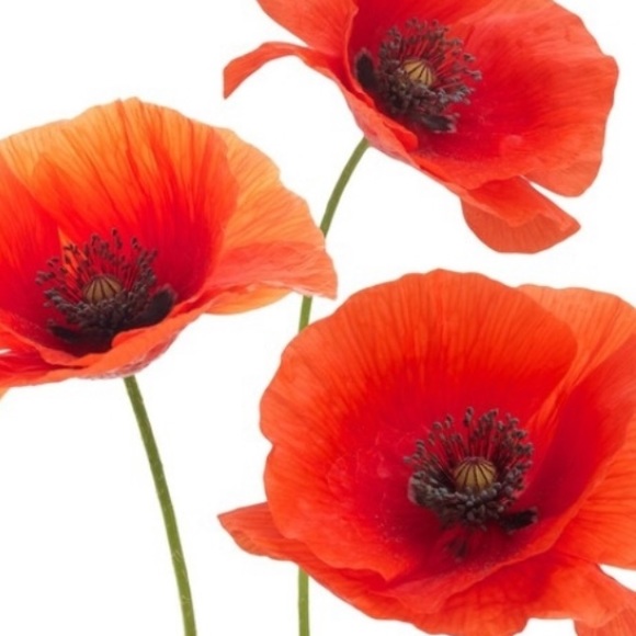 Poppy🌟Swarovski & Tassel Fringe Sweater Necklace - Picture 2 of 8